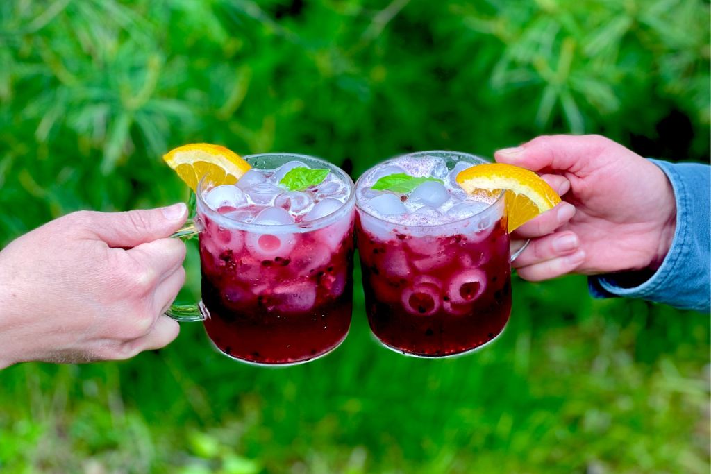 Raspberry basil iced drink jug, paths Stock Photo by maxsol7