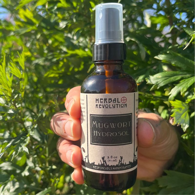 Mugwort Hydrosol