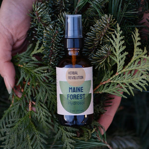 Maine Forest Hydrosol