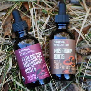 Elderberry Mushroom + Roots Elixir