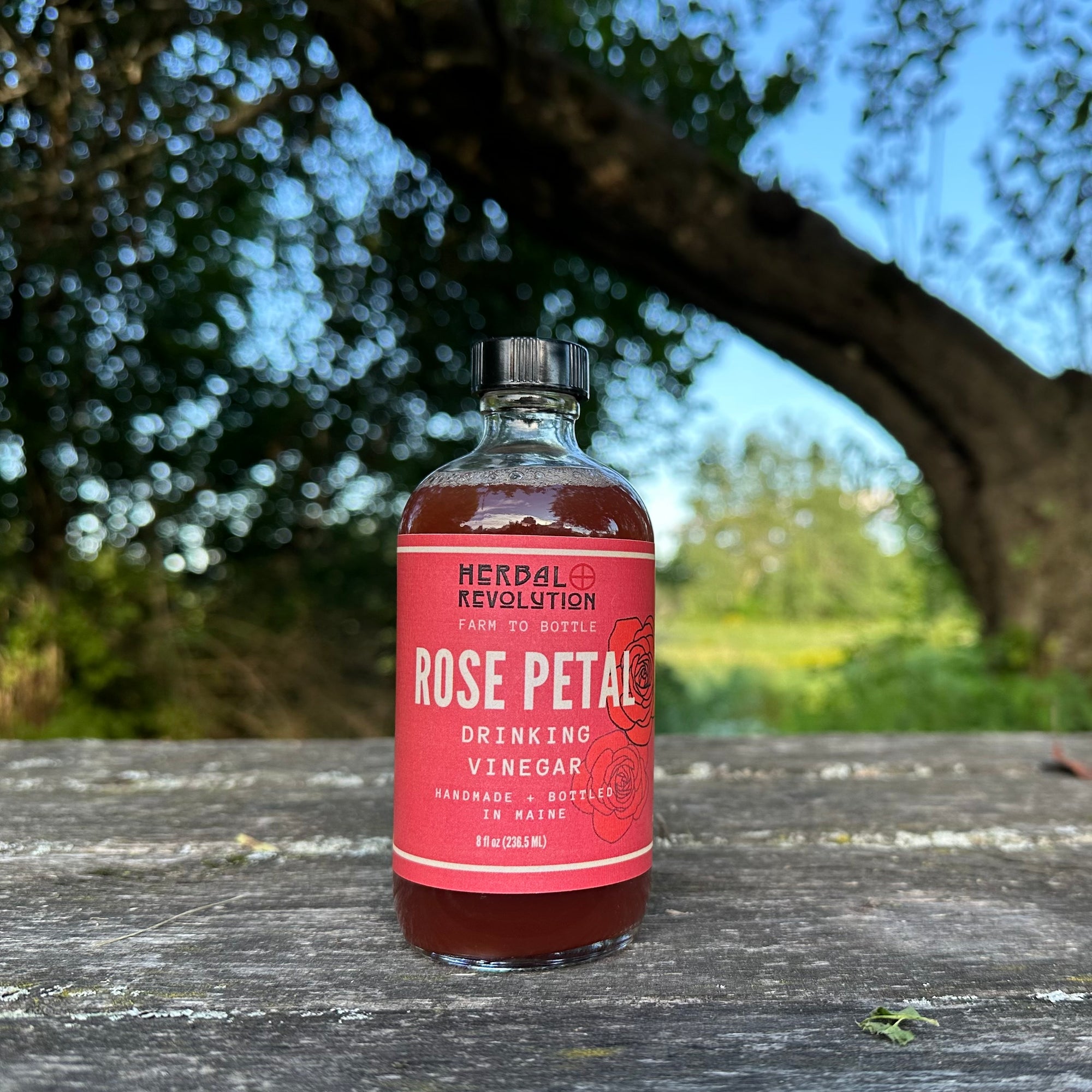 Rose Petal Shrub No. 5 || Drinking Vinegar