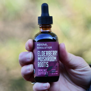 Elderberry Mushroom + Roots Elixir