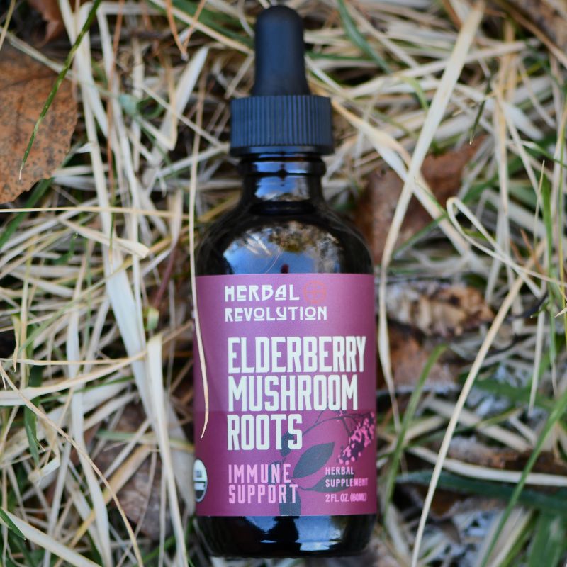 Elderberry Mushroom + Roots Elixir