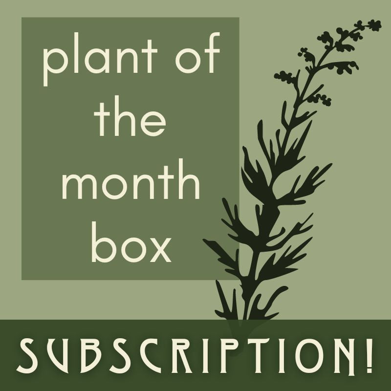 Plant of the Month Box Subscription