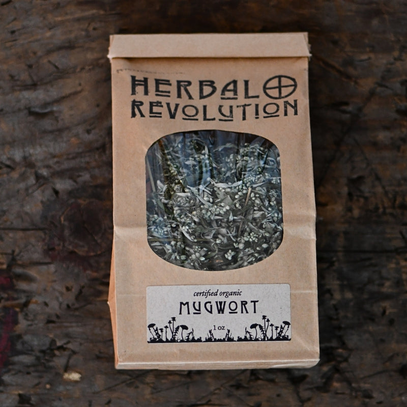 Dried Mugwort