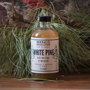 White Pine Shrub || Drinking Vinegar